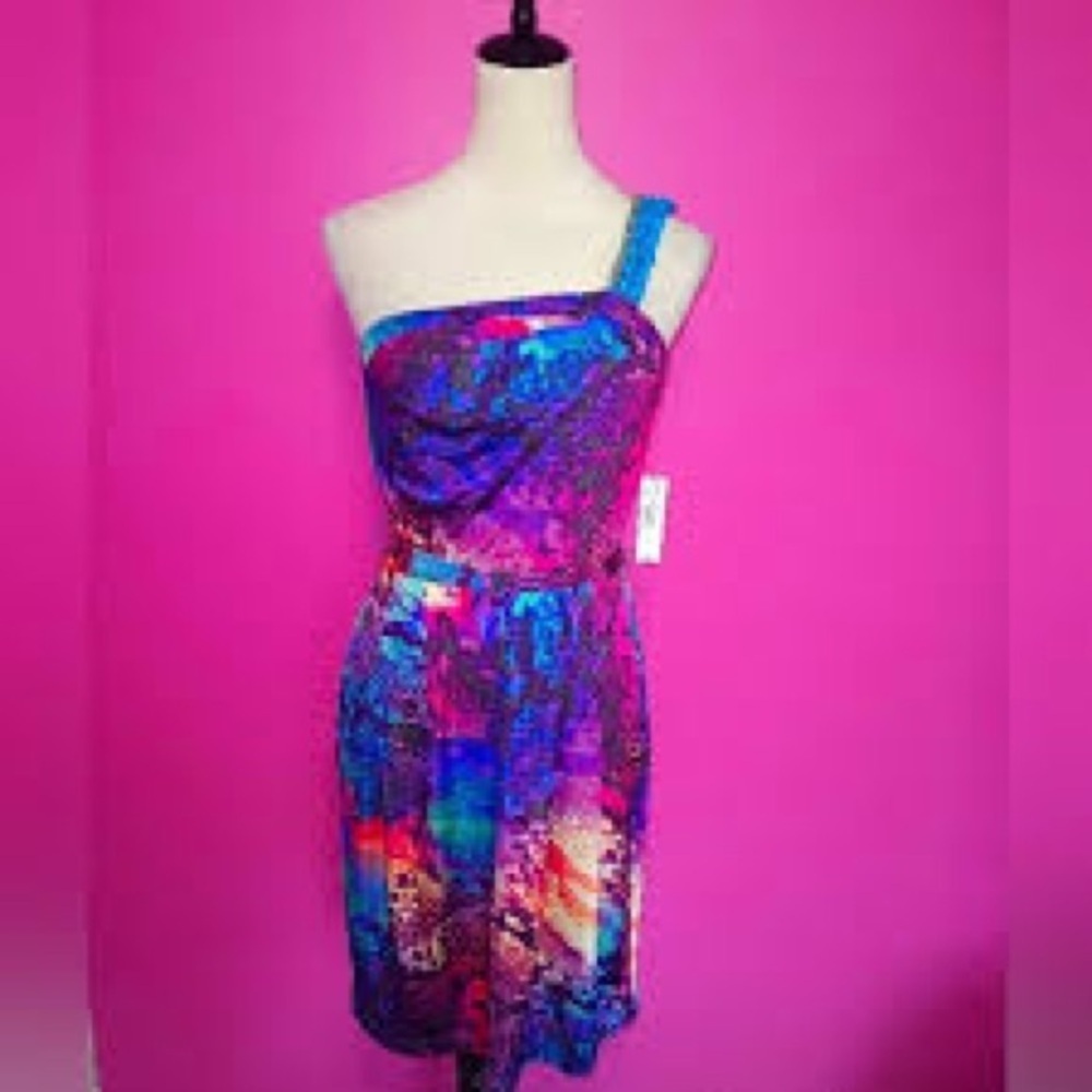 Bisou Bisou Asymmetrical Multicolor Dress